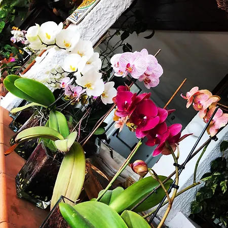 酒店 Greta &