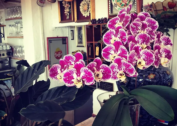 Greta & 2* Таормина