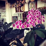 Greta & 2* Taormina